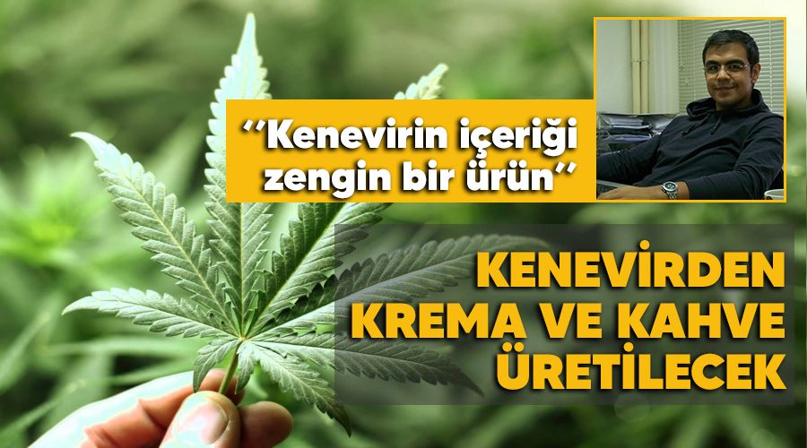 Kenevirden krema ve kahve �retilecek