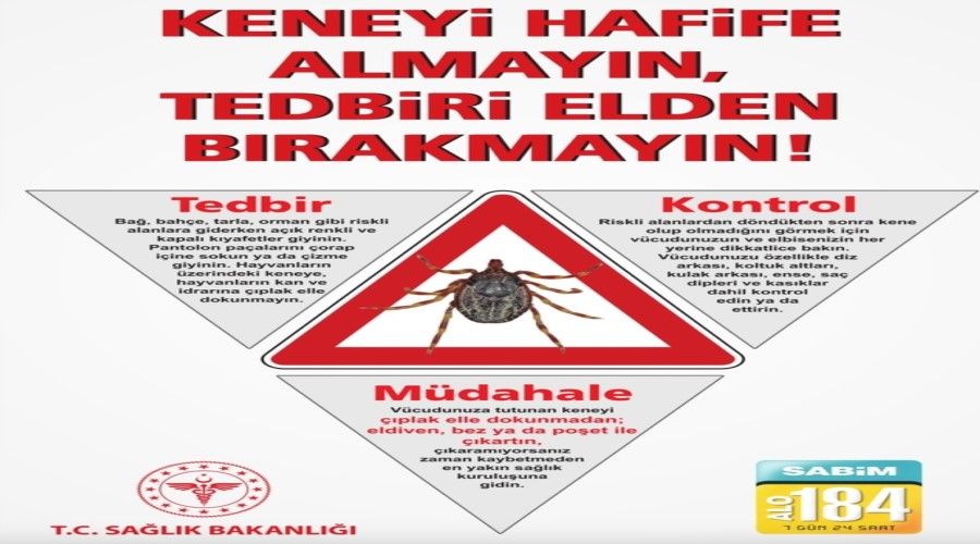 Kene’yi hafife almayın