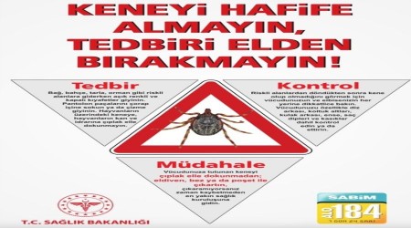 Kene’yi hafife almayın