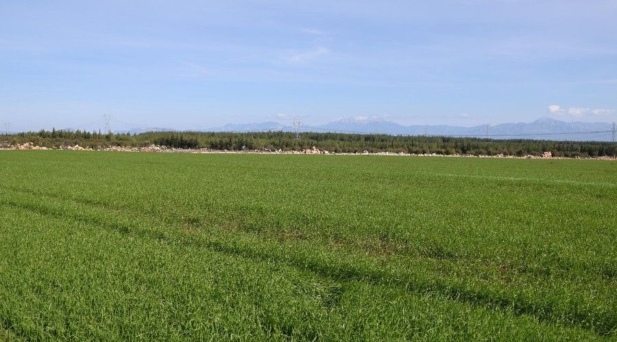 Kepez Belediyesi tarımı canlandırdı