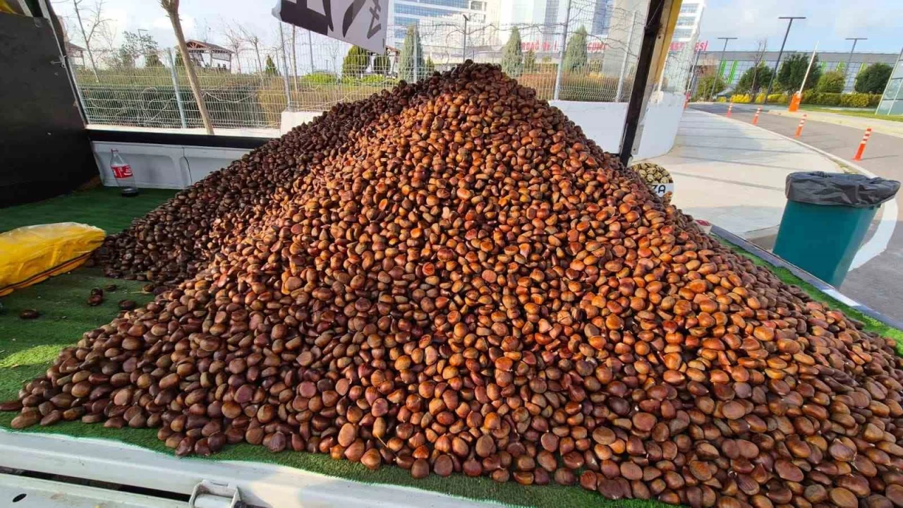 Kestane sezonu ald: Kilosu 175 lira