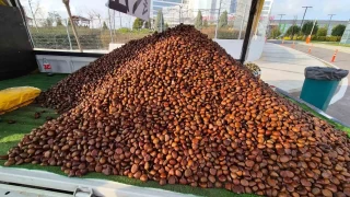 Kestane sezonu ald: Kilosu 175 lira