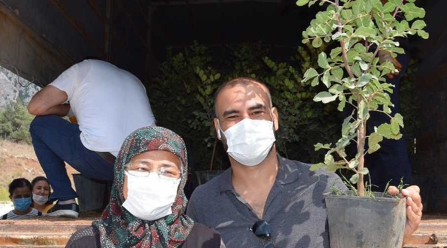 Kıraç araziler için çiftçilere keçi boynuzu fidanı dağıtıldı