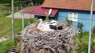 Kzlrmak Deltas'nda grsel len