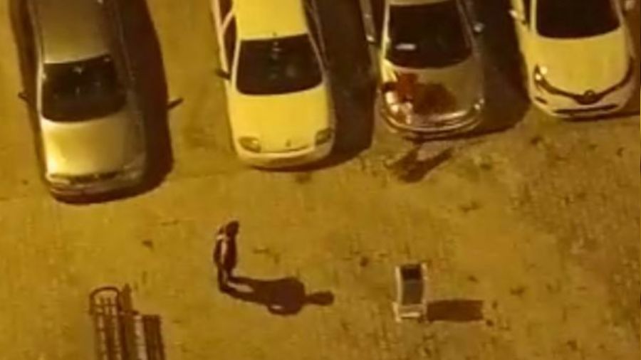 Köpeği çocukların üstüne saldı, korkan çocuk otomobilin üstüne çıktı