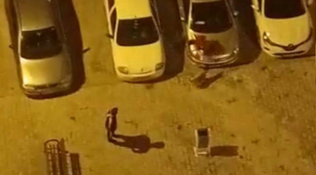 Köpeği çocukların üstüne saldı, korkan çocuk otomobilin üstüne çıktı
