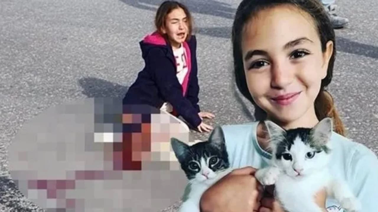 Köpeklerden kaçarken ölen çocuğun ailesine 3,9 milyon lira tazminat ödenecek