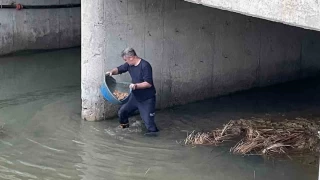 Köprü altında mahsur kalan kediyi itfaiye kurtardı