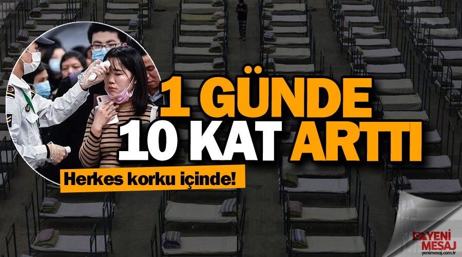 Koronavirs lmleri bir gnde 10 kat artt
