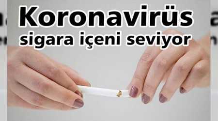 'Koronavirüs sigara içeni sever'