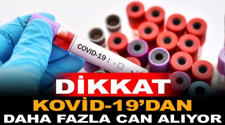 Kovid-19’dan 4 kat fazla can alıyor