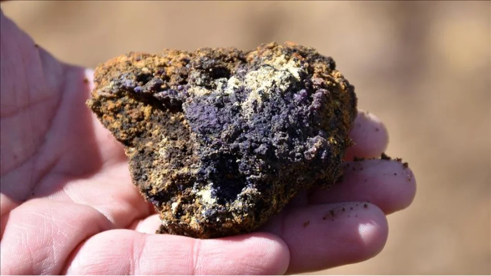 Kritik mineraller Çin'den soruluyor