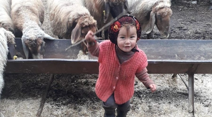 Kk Mslme Karaman'da defnedilecek