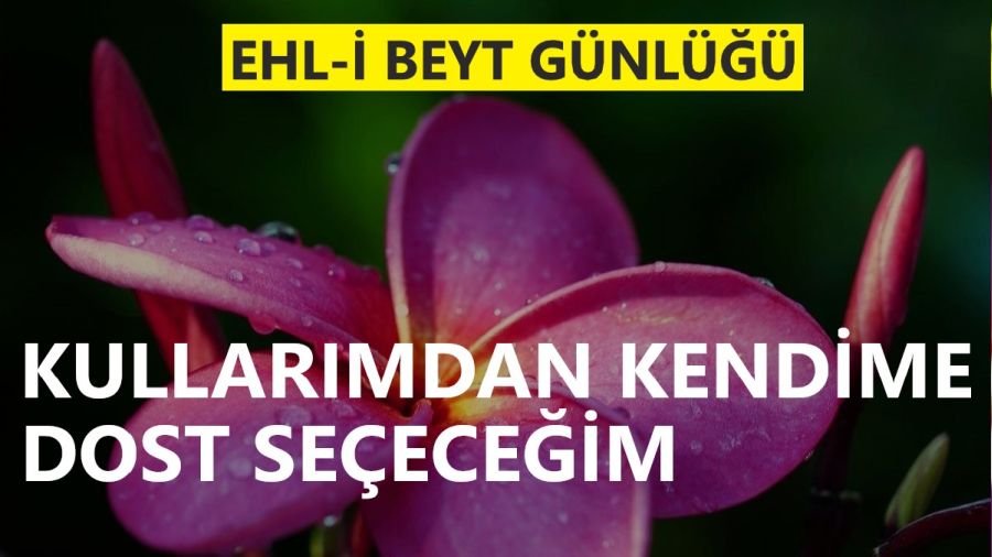 ‘Kullarımdan kendime dost seçeceğim’