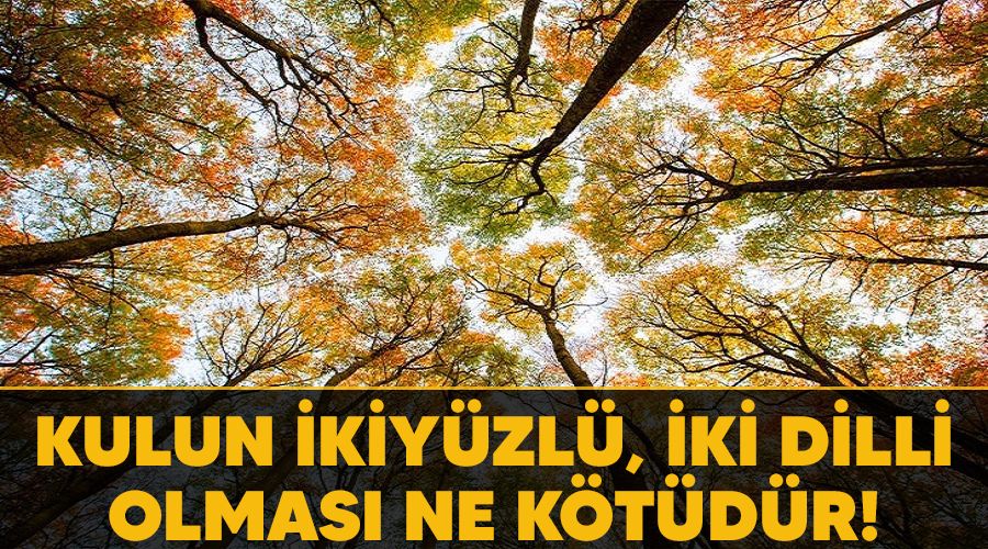 Kulun ikiy�zl�, iki dilli olmas� ne k�t�d�r!