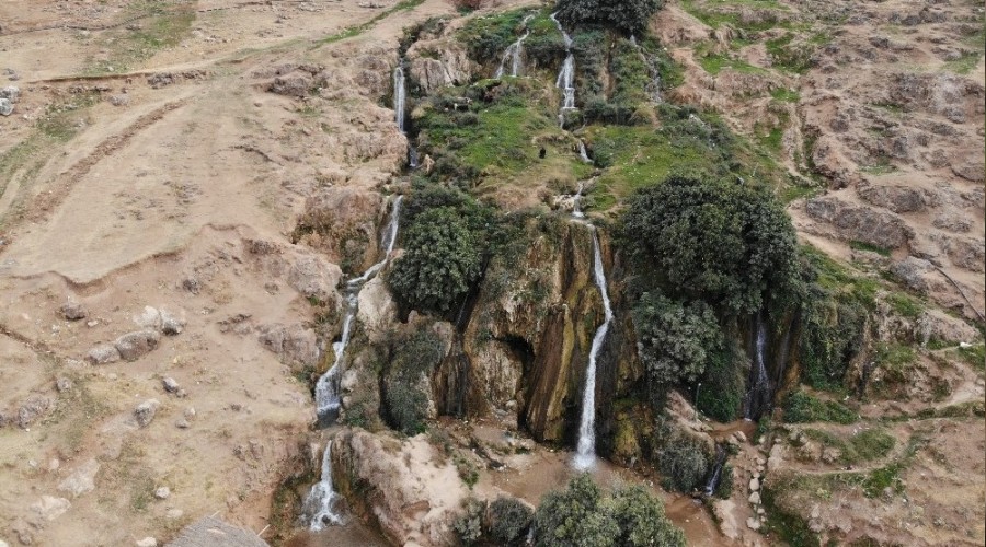 Kurakla boyun emeyen elale