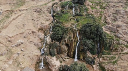 Kurakla boyun emeyen elale