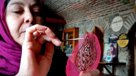 Kurumu yapraklar sanat eserine dntryor