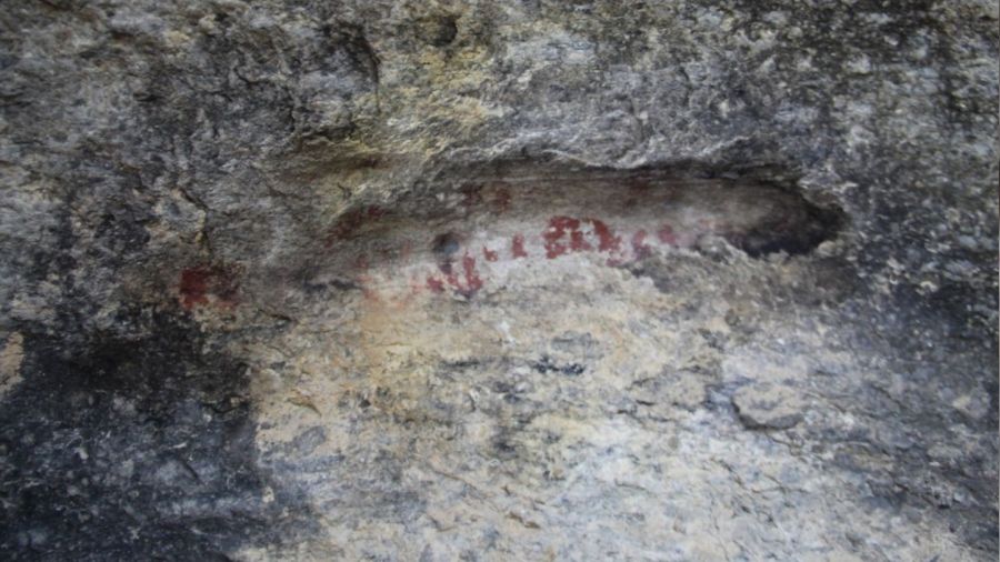 Latmos'ta yeni kaya resimleri bulundu