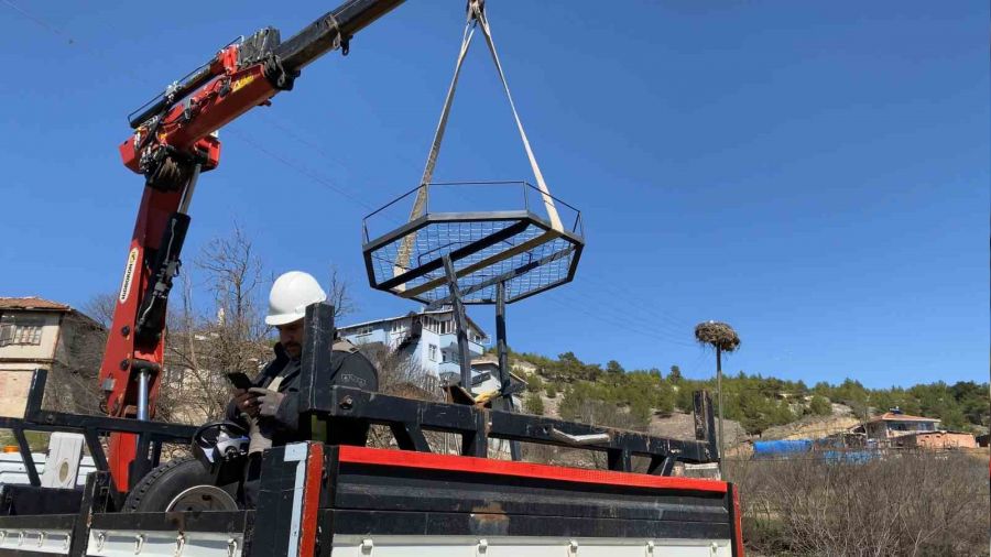 Leylek �l�mlerini azaltmak i�in elektrik direklerine �zel yuvalar takt�lar