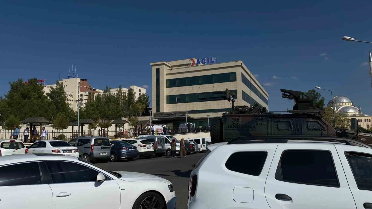 Lice'de 'k�r�mz�' ve 'gri' kategoride aranan iki ter�rist �ld�r�ld�