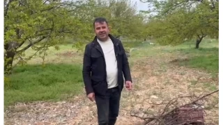 Malatya'da kayısı üreticilerinden "zirai don" önlemi