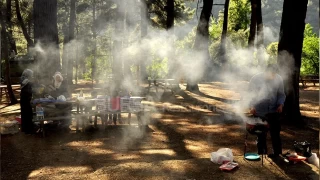 Mangal keyfiniz, çevre katliamına dönüşmesin!