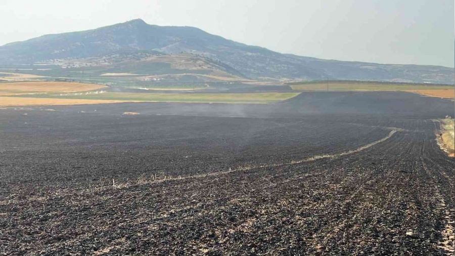 Manisa'da 2 bin dönüm ekili arazi yandı