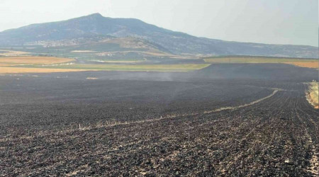 Manisa'da 2 bin dönüm ekili arazi yandı