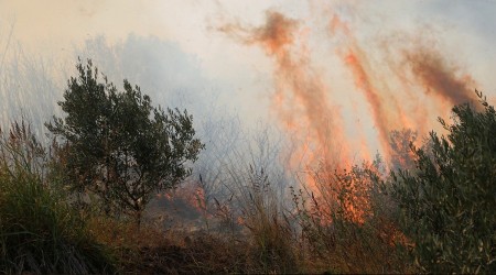Manisa’da 20 dekar alan küle döndü