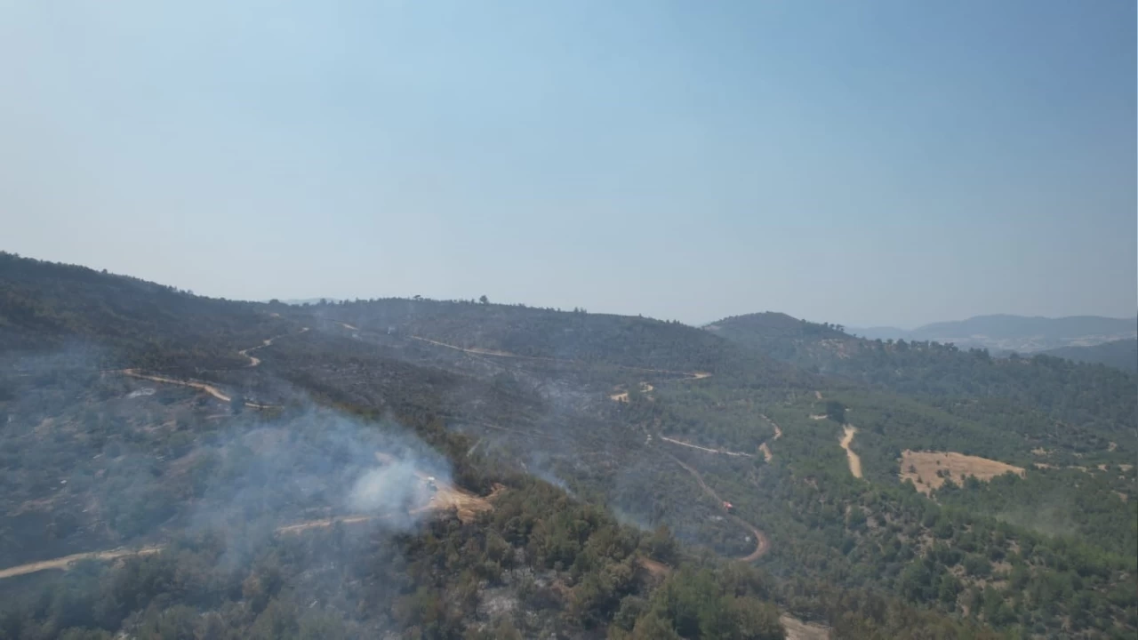 Manisa'daki orman yang�n� be�inci g�n�nde devam ediyor