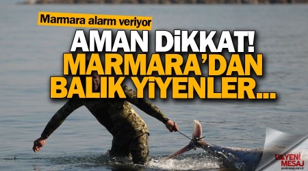 Marmara alarm veriyor