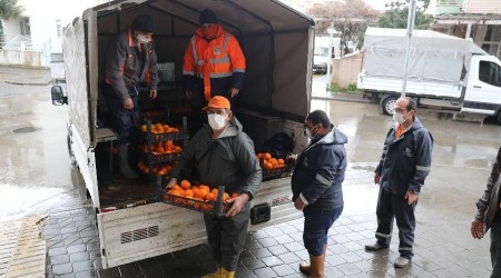 Marmaris'te toplanan turunçlar vatandaşlara dağıtıldı