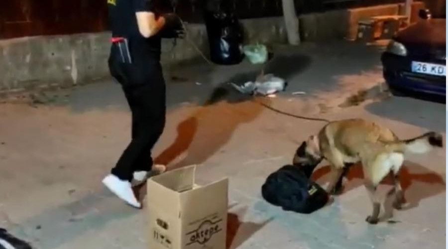 Marmaris'te zeytinyağı kutusundan esrar çıktı