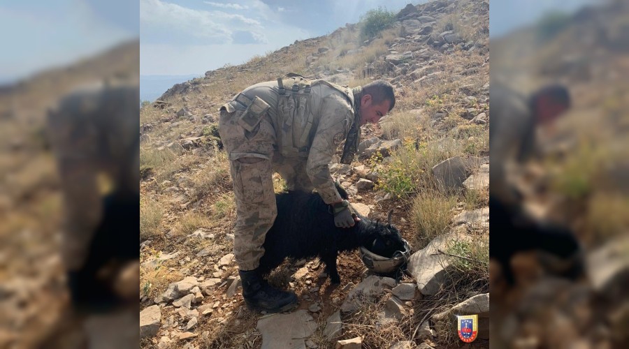 Mehmet�ikten duyguland�ran hareket