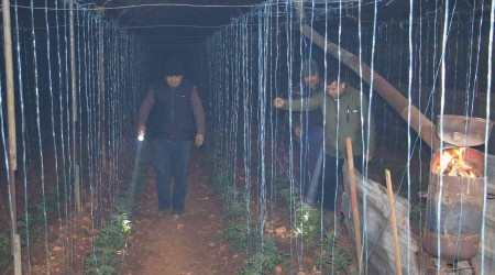 Mersin'de bahçelerde lastikler, seralarda sobalar yakıldı, zirai don nöbeti başladı