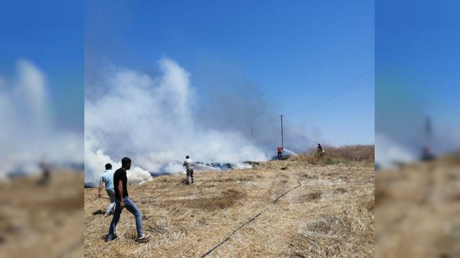 Mersin'de tarım arazisinde çıkan yangın söndürüldü