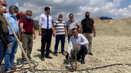 Mersin’de “Zeytin Gen Bahçesi” oluşturuldu