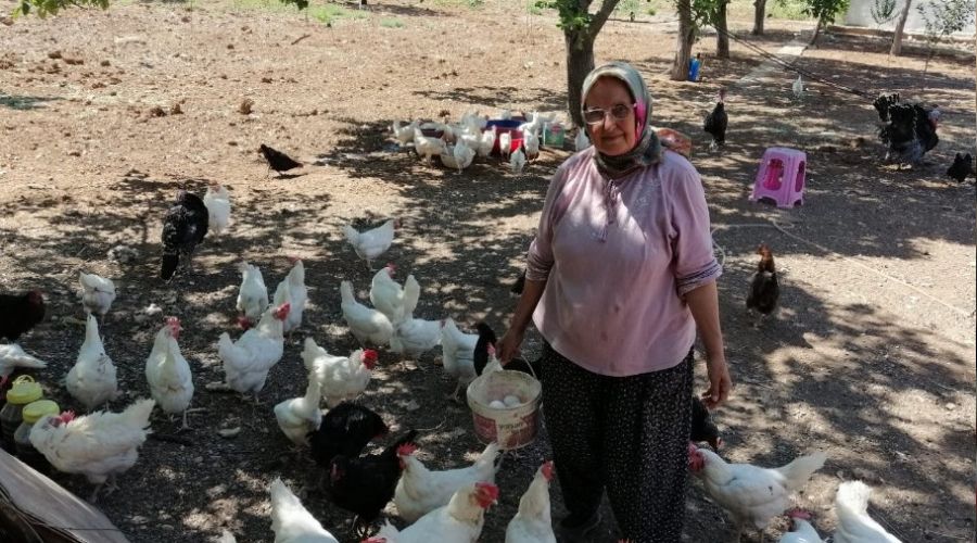 Mikrokredi k�rsalda da kad�nlar�n hayatlar�n� de�i�tiriyor
