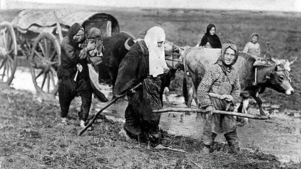 Milli devlet ve kadın