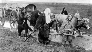 Milli devlet ve kadın