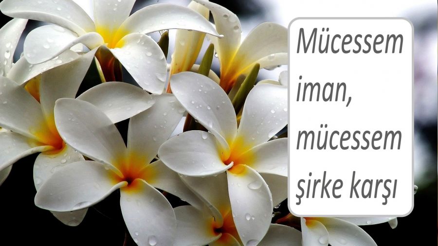 Mücessem iman, mücessem şirke karşı