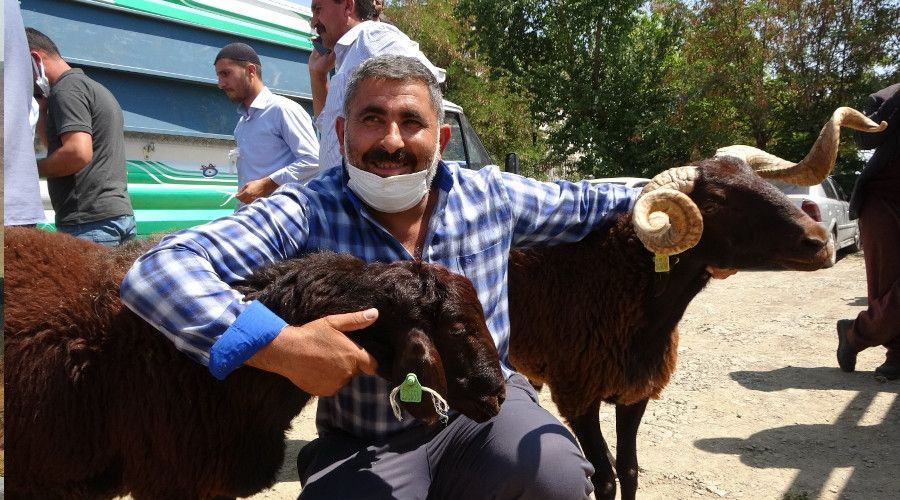 Muş'ta çiftçilere devlet destekli koç dağıtımı yapıldı