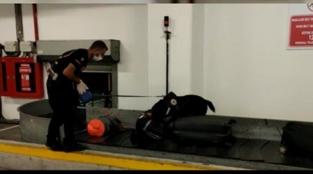 Narkotik köpeği uyuşturucuyu buldu