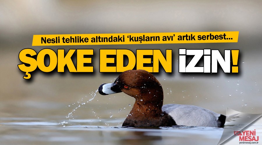 Nesli tehlike alt�ndaki ku�lar�n av�na �ok izin!