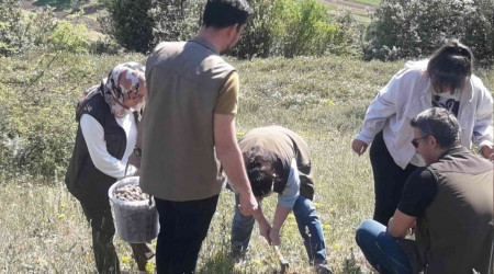 Nesli tehlikede olan salep soğanı toplayıcılarına büyük ceza