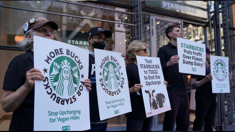   New York'ta veganlar Starbucks'� protesto etti