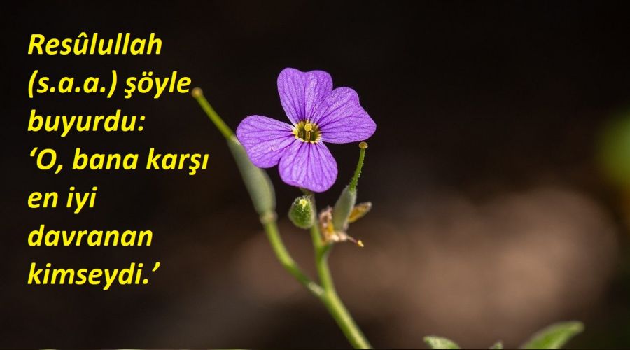 O, bana karşı en iyi davranan kimseydi