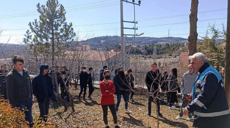 Öğrencilere meyve bahçelerinde bakım, budama ve gübreleme eğitimi