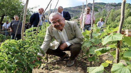 Ordu Bykehir Belediye Bakan Gler'den tarma destek